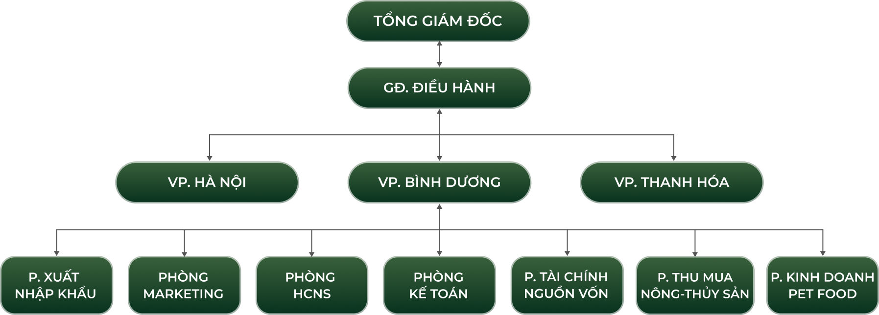 so do co cau to chuc math | Math Imex